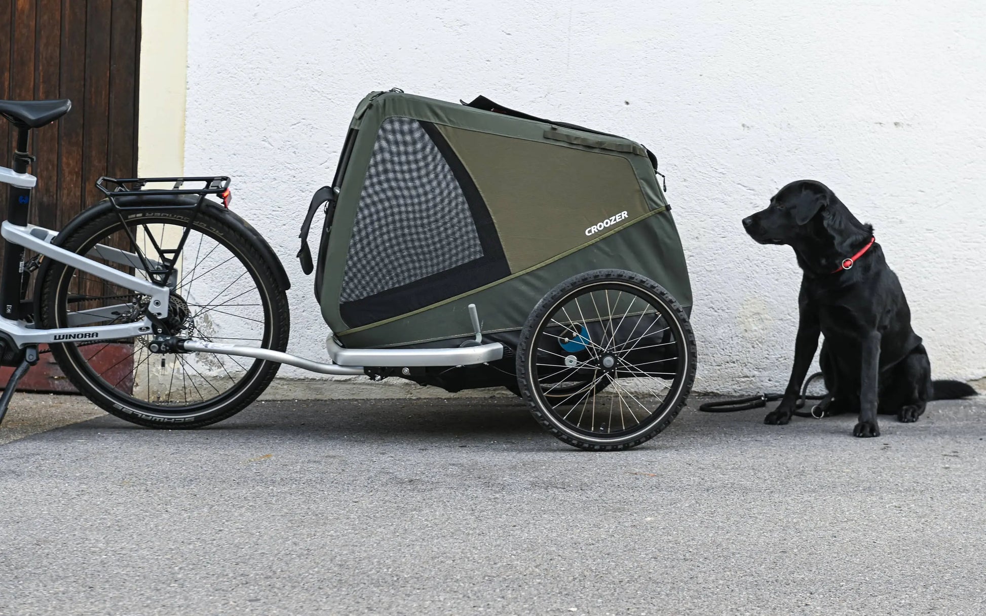 croozer fahrradanhänger dog Croozer Dog Mikke – Moosgrün für Hunde – KnirpsExperte